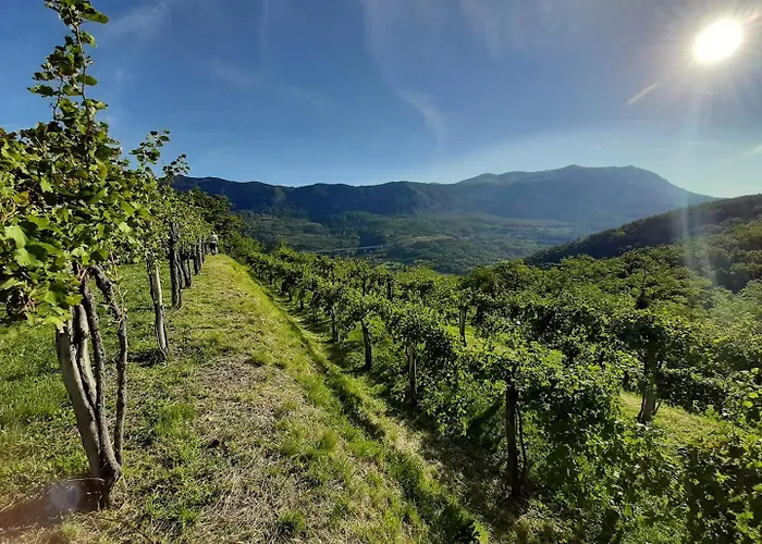 Pr' Uzlejbvih Podnanos